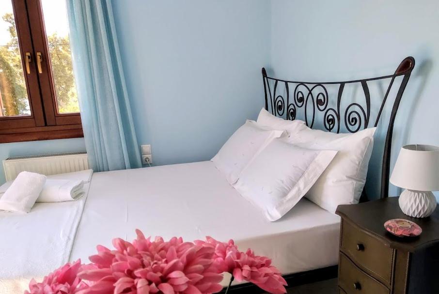 Pelion Seaside Luxury House Apartment Afissos Exterior photo