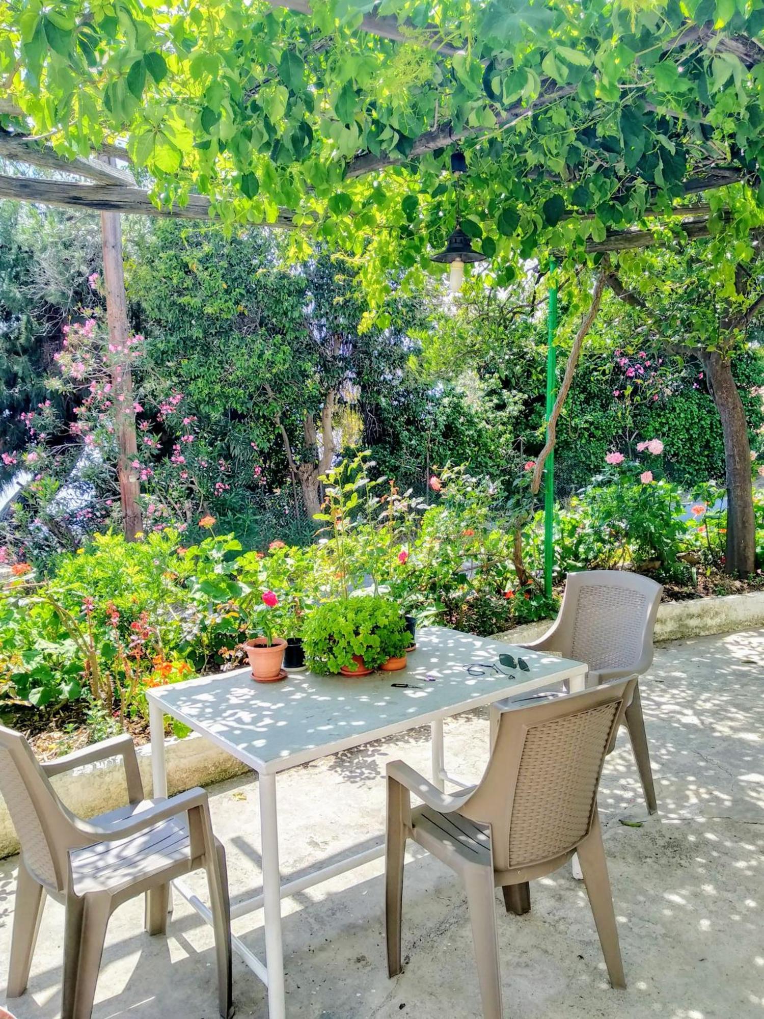 Pelion Seaside Luxury House Apartment Afissos Exterior photo